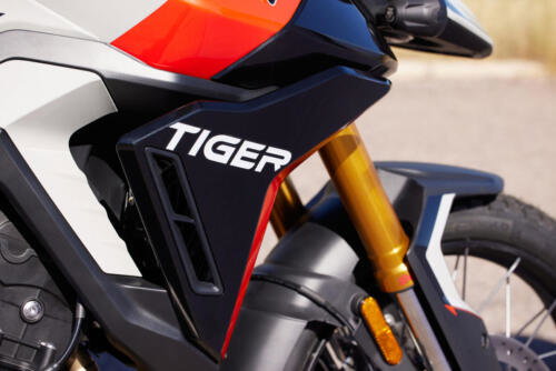 Triumph Tiger 900 Rally Pro - 2024 (24)