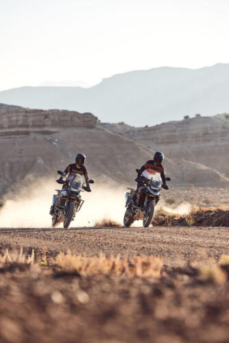 Triumph Tiger 900 Rally Pro - 2024 (3)