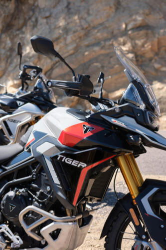 Triumph Tiger 900 Rally Pro - 2024 (33)