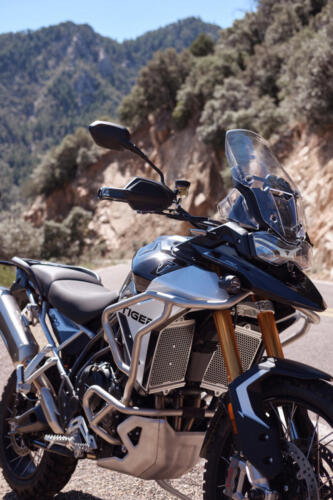 Triumph Tiger 900 Rally Pro - 2024 (34)