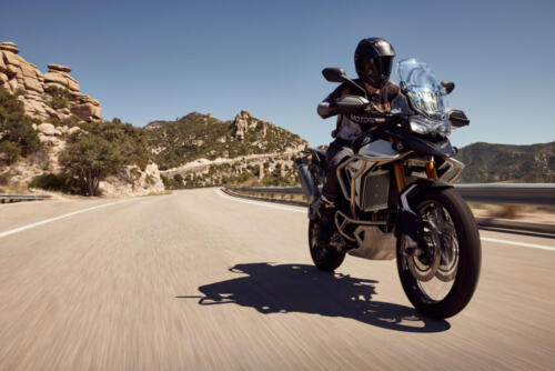 Triumph Tiger 900 Rally Pro - 2024 (37)