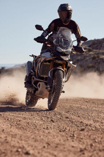 Triumph Tiger 900 Rally Pro - 2024 (4)
