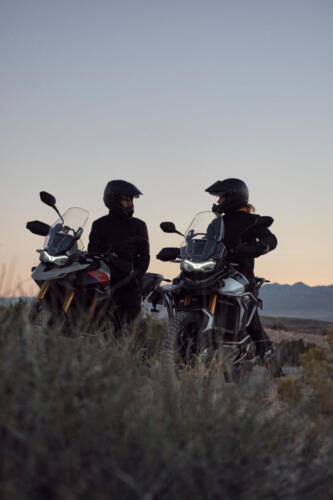 Triumph Tiger 900 Rally Pro - 2024 (6)