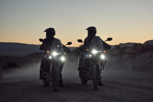 Triumph Tiger 900 Rally Pro - 2024 (7)