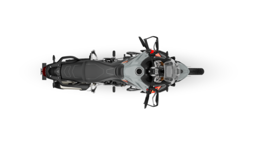 Triumph Tiger 900 Rally Pro - 2024 (7)