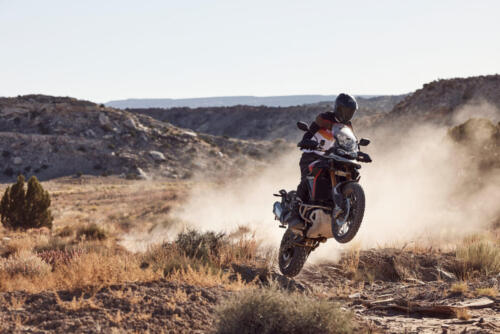 Triumph Tiger 900 Rally Pro - 2024 (8)