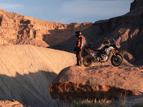 Triumph Tiger 900 Rally Pro - 2024 (9)