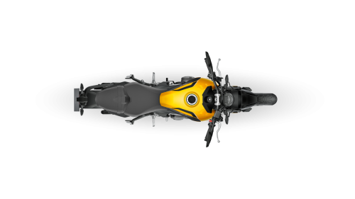 Triumph Trident 660 - 2026 (9)