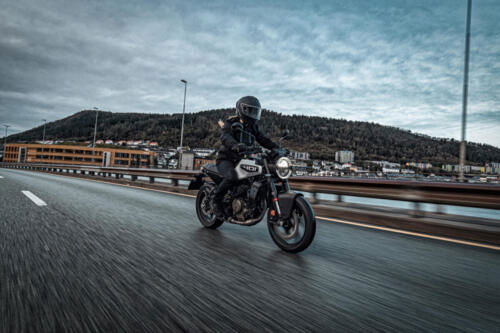 Vitpilen 401 2024 (6)