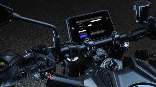 Yamaha MT-09 - 2024 (10)