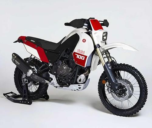 Yamaha Tenere 700 UmbauKit (11)