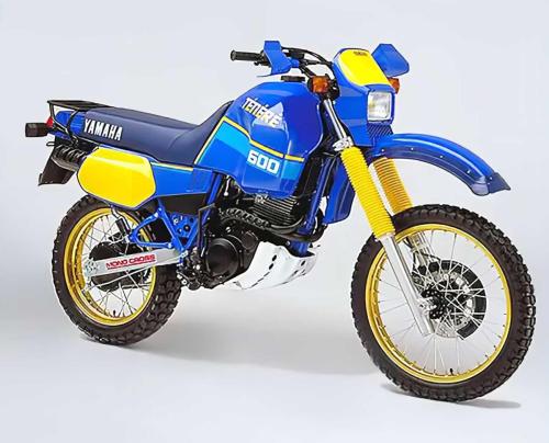 Yamaha Tenere 700 UmbauKit (14)