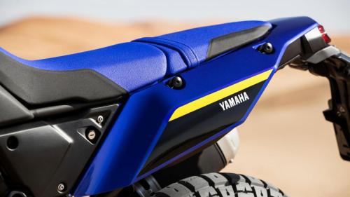 Yamaha Tenere 700 World Raid (21)