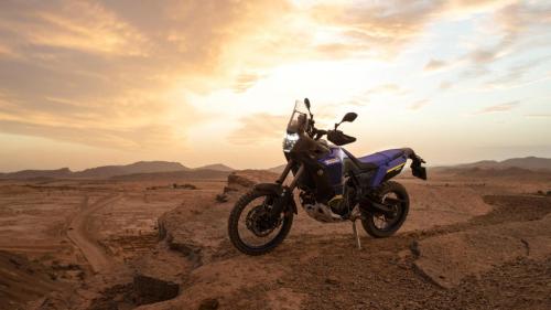 Yamaha Tenere 700 World Raid (31)