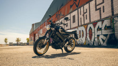 XSR215 Legacy Statics
