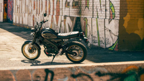 XSR215 Legacy Statics
