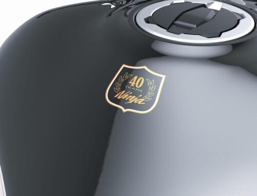 hi_24MY_Ninja_1000SX_40th_Anniversary_Edition_RD1_DET__1_