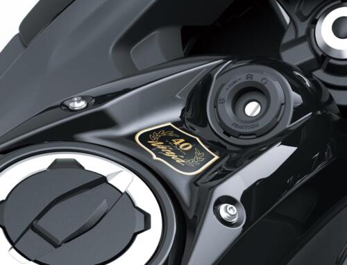 hi_24MY_Ninja_650_40th_Anniversary_Edition_RD1_DET__1_