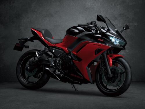 hi_24MY_Ninja_650_40th_Anniversary_Edition_RD1_STYLING__1_