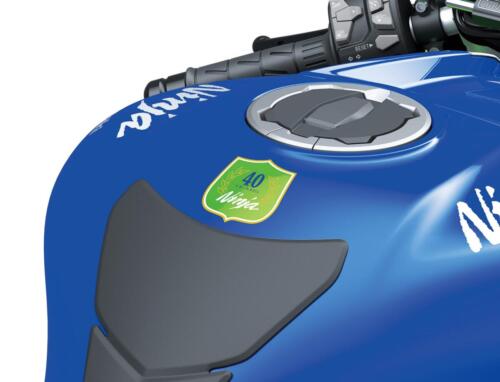 hi_24MY_Ninja_ZX-10R_40th_Anniversary_Edition_GN2_DET__1_