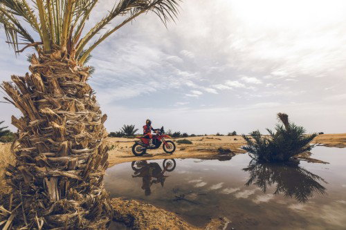 KTM 450 Rally Replica 2027 – Studioaufnahme mit Daniel Sanders in Wuestenlandschaft