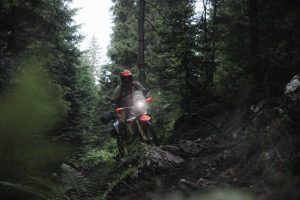KTM 690 Rally 2027 – Fahrer mit eingeschaltetem Scheinwerfer auf verwurzeltem Waldpfad zwischen Nadelbäumen