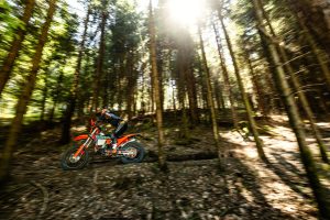 KTM 300 EXC 6DAYS 2027 – Enduro-Fahrer fährt bei Gegenlicht durch einen sonnendurchfluteten Nadelwald