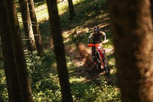 KTM 450 EXC-F 6DAYS 2027 – Fahrer in der Distanz im Nadelwald mit Sonnenstrahlen zwischen den Bäumen