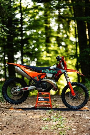 KTM 300 EXC 6DAYS 2027 – Seitenprofil zwischen grünen Farnen im Nadelwald