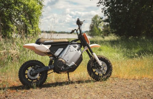 LiveWire S4 Honcho Trail 2026 in Weiß-Grau – Seitenansicht auf einem Feldweg am See mit hohem Gras
