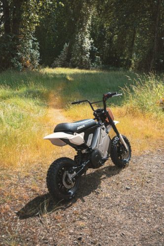 LiveWire S4 Honcho Trail 2026 in Weiß-Grau – Heck-Dreiviertelansicht auf einem sonnigen Waldweg