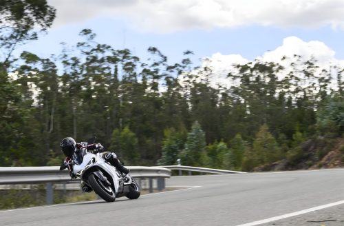 Norton Manx R Signature 2026 – Fahrer in Schräglage auf andalusischer Landstraße mit Eukalyptuswald im Hintergrund