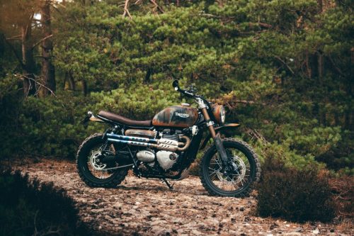 Triumph Scrambler Custom-Umbau aus Großbritannien – Scrambler mit Rost-Patina-Lackierung, brauner Sitzbank und blauen Auspuffhitzeschilden im Kiefernwald