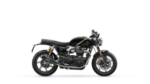 Triumph Speed Twin 1200 TFC 2027 – rechte Seitenansicht im Profil im Betonstudio, Obsidian Gold mit goldenem Zierstreifen und Carbon-Bauteilen
