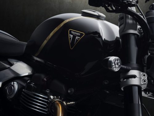 Triumph Speed Twin 1200 TFC 2027 – Detail des schwarzen Tanks in Obsidian Gold mit goldenem Zierstreifen, Triumph-Emblem und bulligem LED-Blinker