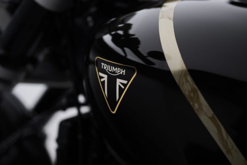 Triumph Speed Twin 1200 TFC 2027 – Detail des glänzend schwarzen Tanks mit goldumrandetem Triumph-Emblem und goldenem Marmor-Zierstreifen